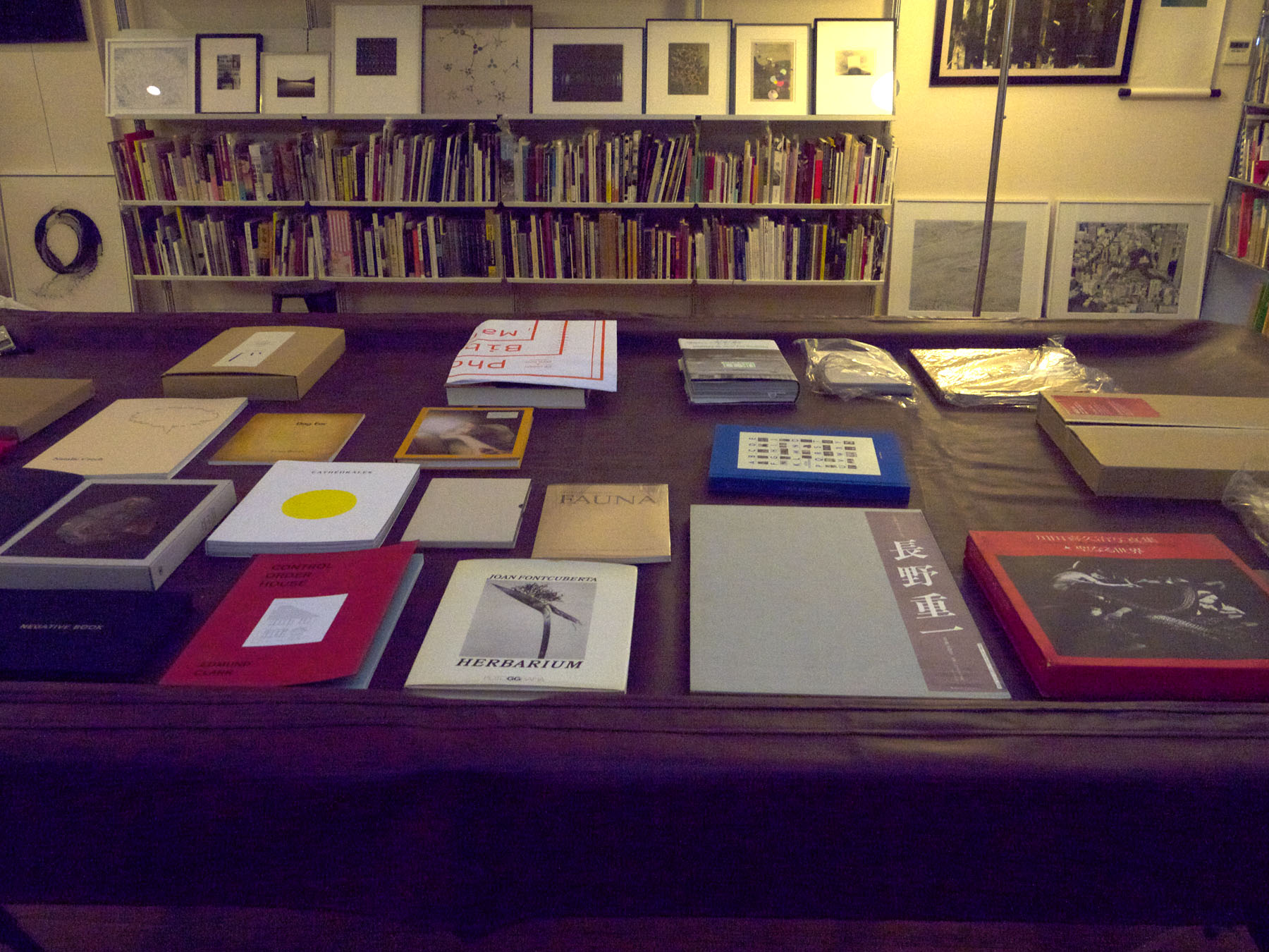 David Solo's display of photo books. Photo by Barbara Confino. David Solo's display of photo books. Photo by Barbara Confino.